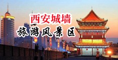 二次元操逼视频中国陕西-西安城墙旅游风景区