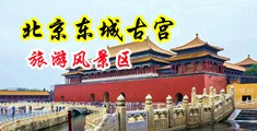 骚黄差逼操淫视频中国北京-东城古宫旅游风景区
