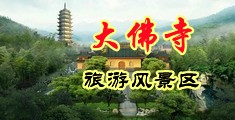 插骚穴视频调教中国浙江-新昌大佛寺旅游风景区